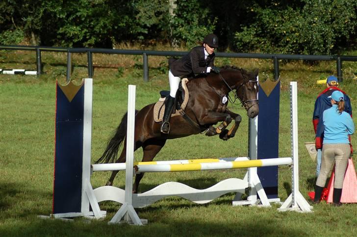 DSP Pretty Madonna - C-stævne i Bigittelyst Rideklub billede 6