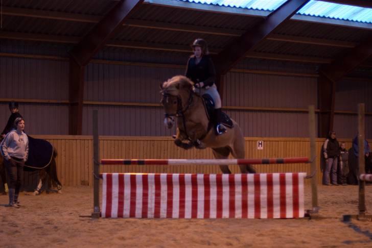 New Forest Olivia / Squash - olivia springer lidt over :p billede 16
