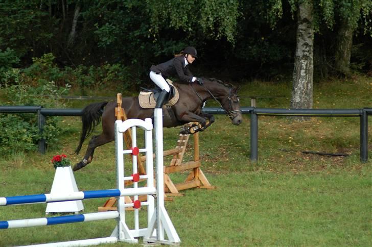 DSP Pretty Madonna - C-stævne i Bigttelyst Rideklub billede 8