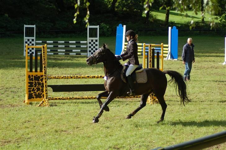 DSP Pretty Madonna - C-stævne i Bigttelyst Rideklub billede 11