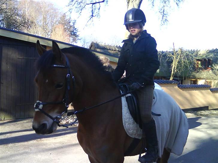 Anden særlig race Prins Kashmir SOLGT:'( - mig og kashmir billede 1