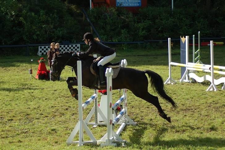 DSP Pretty Madonna - C-stævne i Bigttelyst Rideklub billede 12