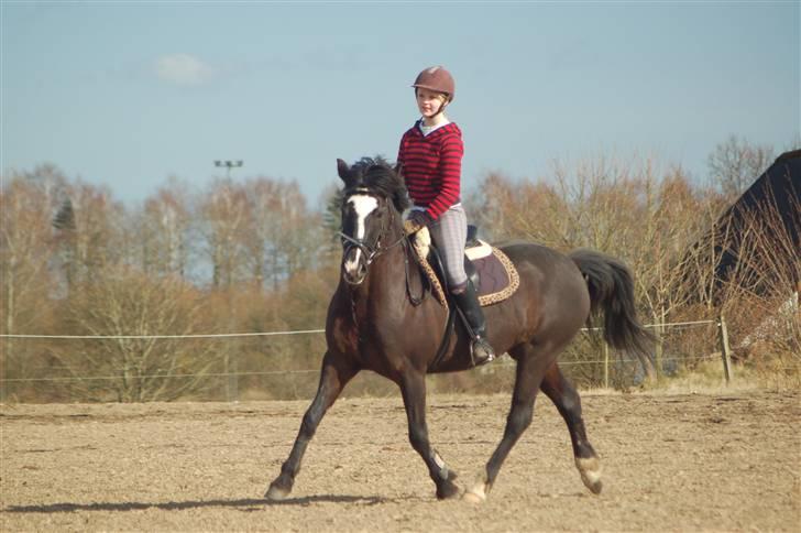 Anden særlig race Blackie - 2) første gang jeg red hende udendørs :D foto: Cecilie, marts 08 billede 2