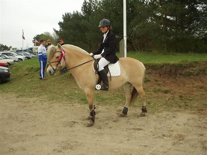 Fjordhest Luise-*R.I.P* billede 10