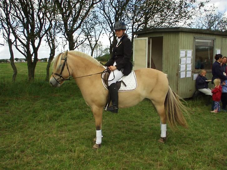 Fjordhest Luise-*R.I.P* billede 11