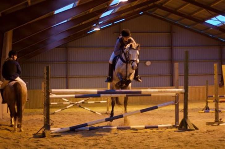 Anden særlig race Valéz - Den smukkeste <3 2007/2008 billede 13