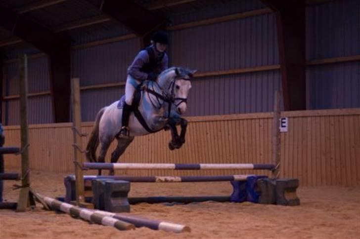 Anden særlig race Valéz - Synes han er så fin her <3 2007/2008 billede 14