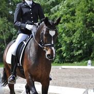 DSP Fontain af stensnæs 