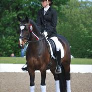 DSP Fontain af stensnæs 