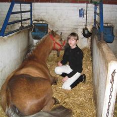 Anden særlig race Jamaica(red før sommer08)