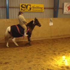 Pinto Melanie [solgt]