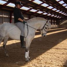 Connemara Dusty SOLGT