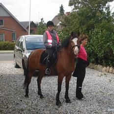DSP Godsets Fanny (solgt)