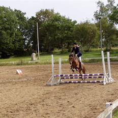 New Forest Team Sødrings Kitti