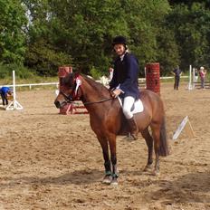 New Forest Team Sødrings Kitti