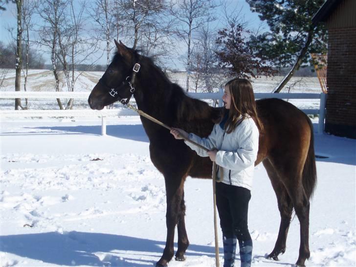 Anden særlig race Trisha billede 12