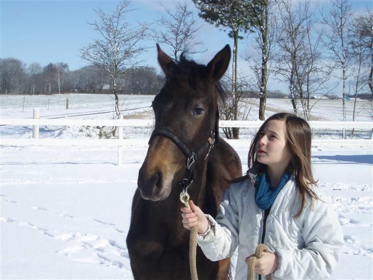 Anden særlig race Trisha billede 13