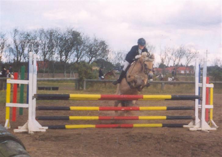 Fjordhest Luise-*R.I.P* - Pernille og Luise til Områdemesterskab i Hornum,31.08.03. De blev nr. 2 billede 12