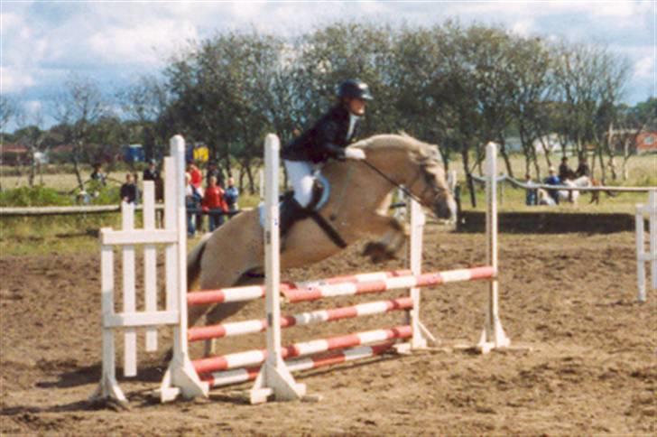 Fjordhest Luise-*R.I.P* - Pernille og Luise til Områdemesterskab i Hornum,31.08.03. De blev nr. 2 billede 14