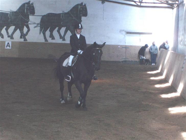Oldenborg Bertha billede 18