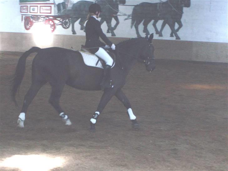 Oldenborg Bertha billede 19