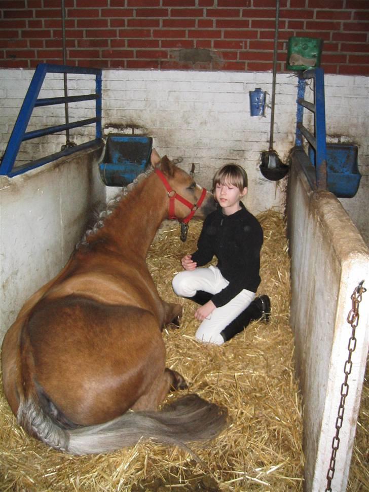 Anden særlig race Jamaica(red før sommer08) - Jamaica og jeg hygger lidt i spiltovet... foto: mor billede 3