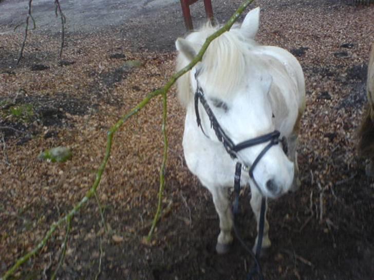 Anden særlig race Funny  <3  - I skoven med 2 veninder, vi holdte lige en pause og tog salden af <3 billede 16