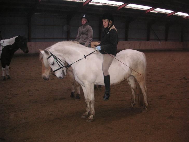 Anden særlig race Funny  <3  - Uden sadel<3Heidi i baggrunden:} billede 17