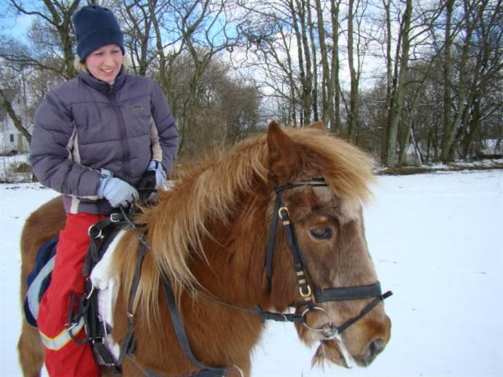 Islænder Depill fra Hørslev (DØD) - Depill og jeg klar til bobslæde-ridning d. 24 marts 2008, Depill 34 år gammel billede 12