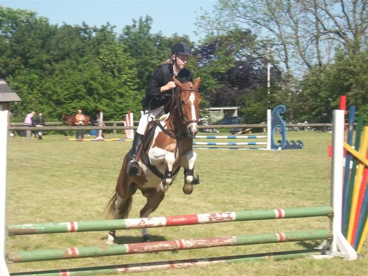Anden særlig race Flik Flak - Flik Flak bliver en super springpony.. billede 1