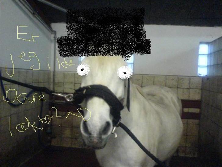 Anden særlig race Funny  <3  - Hahaa xD Nåårh funs <3  billede 18