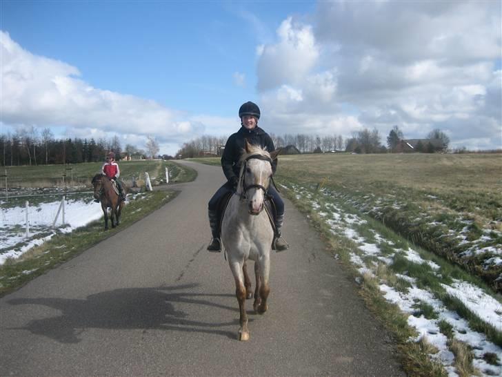 Anden særlig race Athene billede 9