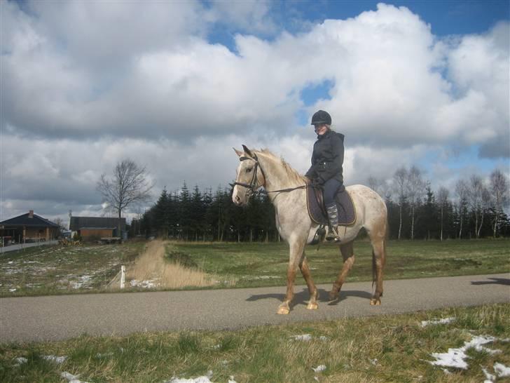 Anden særlig race Athene billede 11