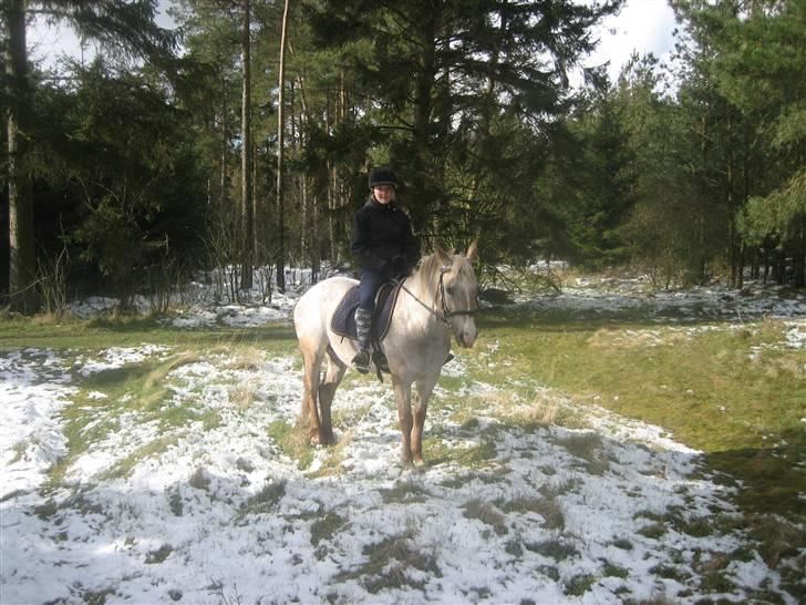 Anden særlig race Athene billede 13