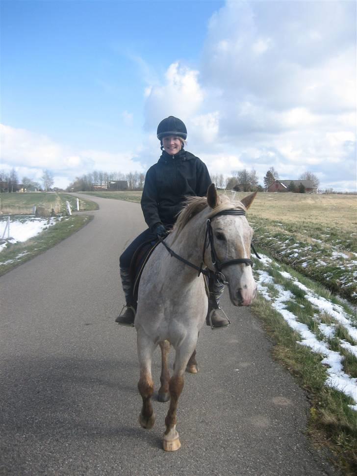 Anden særlig race Athene billede 19