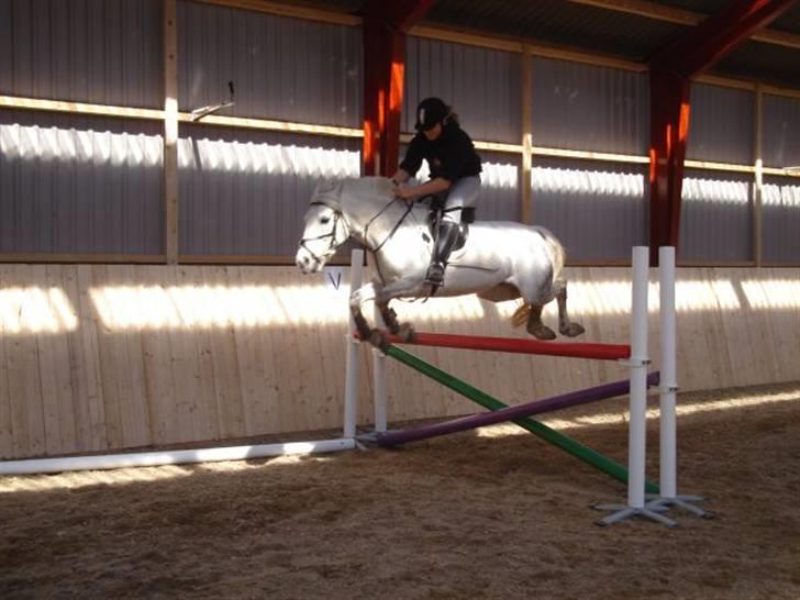 Connemara Dusty SOLGT - det 1.10cm. billede 1