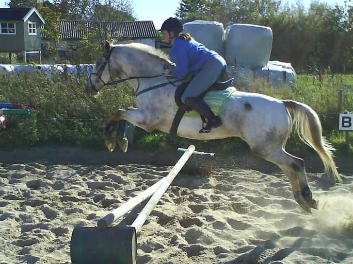 Anden særlig race Tempo Max - Spring  billede 10