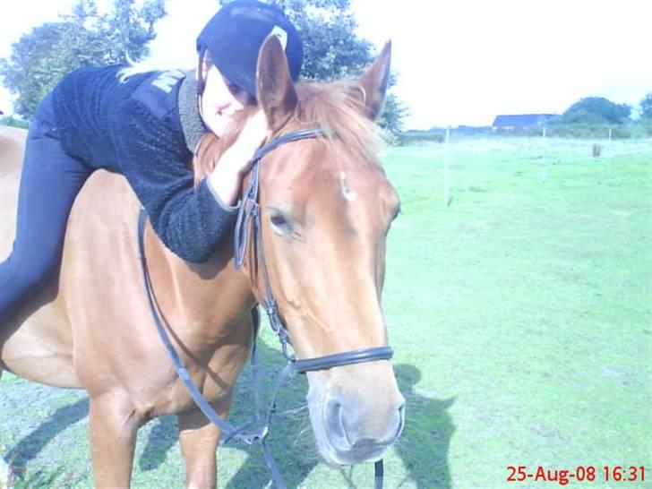 New Forest Vannetie billede 12