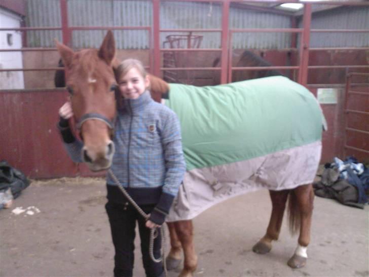 New Forest Vannetie - her har hun lige fået nyt dækken =) billede 13