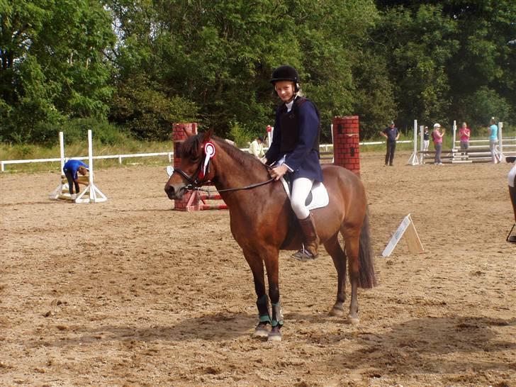 New Forest Team Sødrings Kitti billede 3