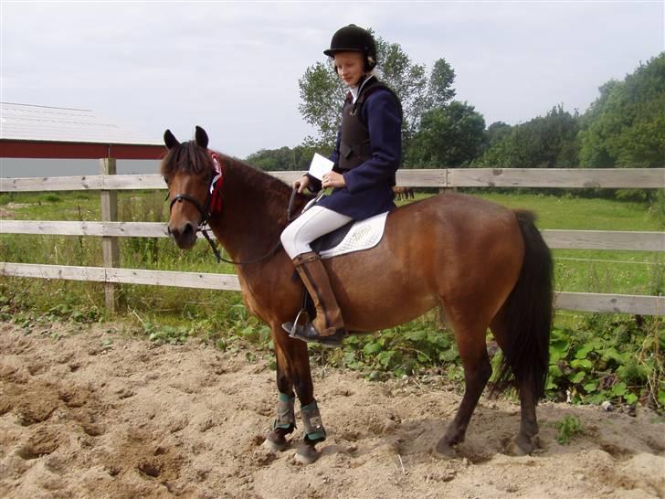 New Forest Team Sødrings Kitti billede 4