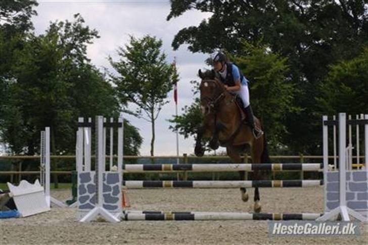 Anden særlig race Rebel R (Aflivet)  billede 2