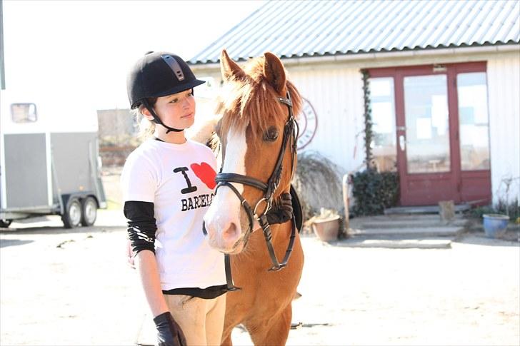 Sportsaraber (A) Sandy - Dejlige Pown! billede 1