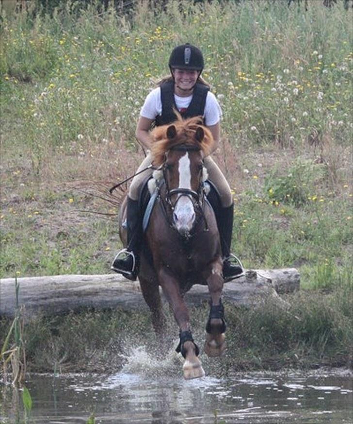 Sportsaraber (A) Sandy - Terræntræning billede 2