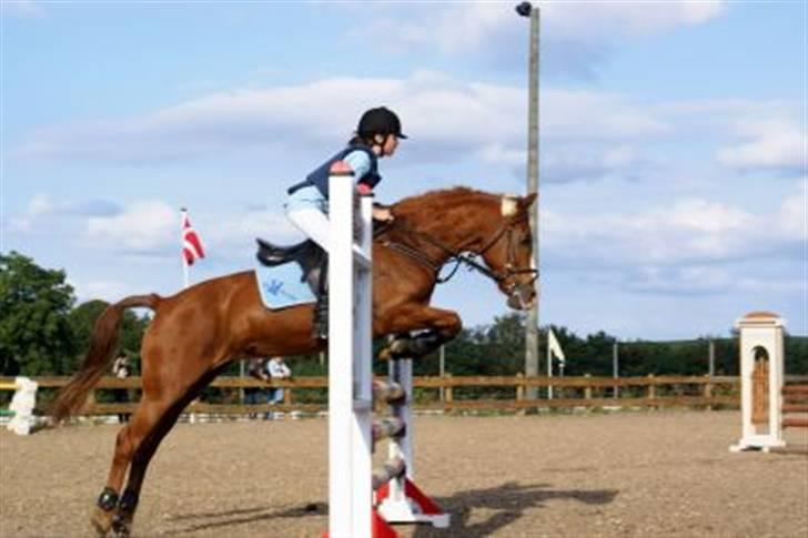 Sportsaraber (A) Sandy - Jubilæum billede 7