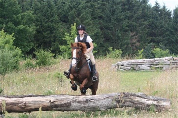 Sportsaraber (A) Sandy - I think it´s LOVE! billede 9