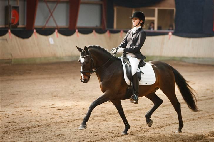 DSP Fontain af stensnæs  - Solrød landsstævne 2009 billede 6