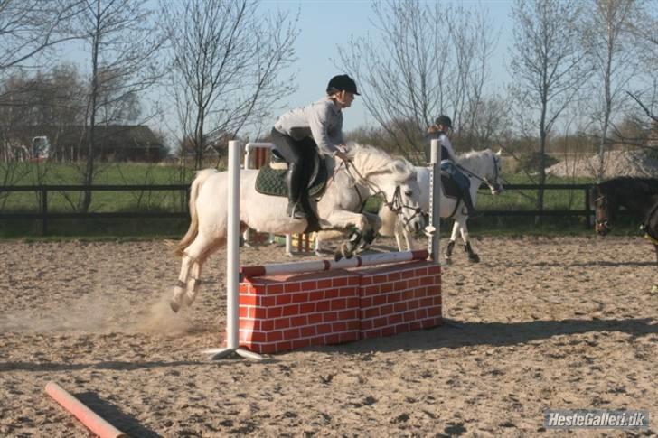 Anden særlig race Patrissia <3 :D   - Du er godt nok tyk søde (; <´333  Foto Liv (; Mur (: billede 14