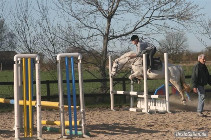 Anden særlig race Patrissia <3 :D   - Du er godt nok tyk søde (; <´333  Foto Liv (; billede 15