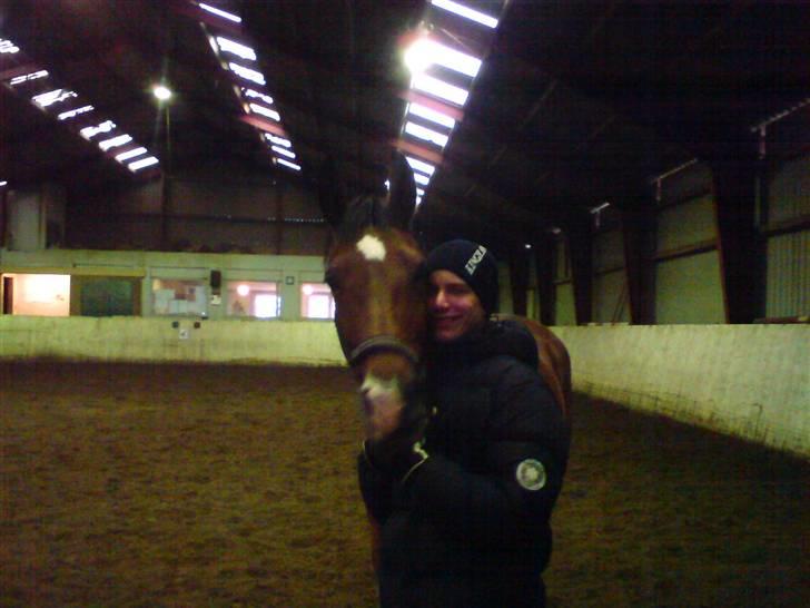 Anden særlig race Rebel R (Aflivet)  billede 8